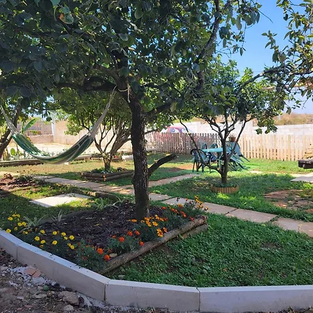 Adega Dos Avos - Casa Completa Nyaraló Alcobaça